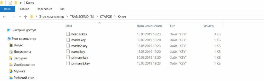Электронный ключ для торгов (файлы key) ГОСТОРГ